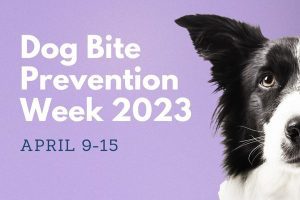 Dog Bite Prevention Week